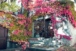 重庆力帆被富力逆转遭遇惨败