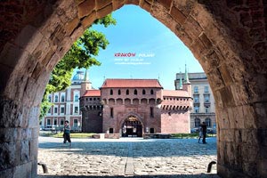 勒沃库森保持连胜，战力强劲可期