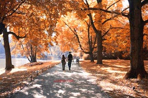 凯泽斯劳滕力争胜利，展现实力